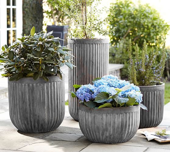 Concrete Fluted Planters | Pottery Barn (US)