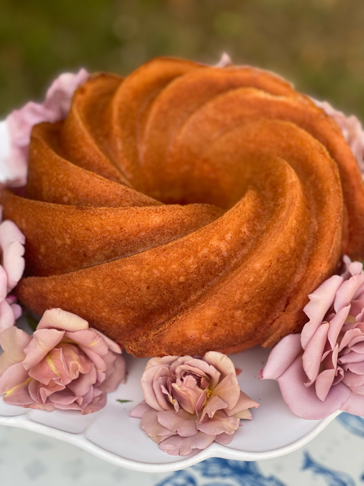 Bundt cake. Nordic Ware bundt pan. Koko Loko rose bush. Summer entertaining. Fall entertaining. Amazon home. Amazon finds. Wayfair home. Wayfair finds. ❤️

#LTKhome #LTKunder100 #LTKFind