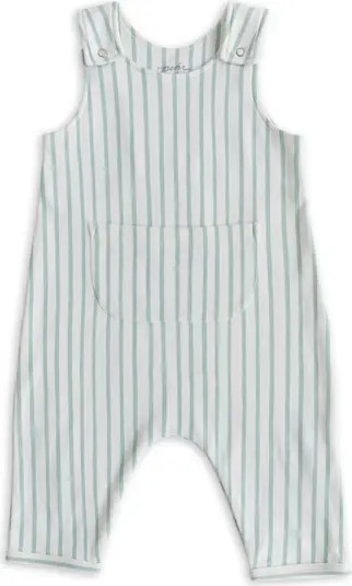 Stripe Organic Cotton Overall | Nordstrom