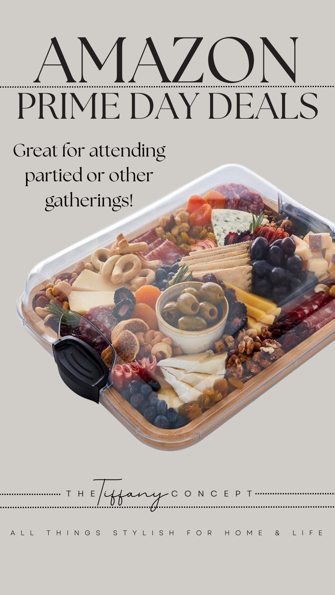 Who doesn’t need a serving try with a sealable cover? Charcuterie is the best thing to make for a party but they are so hard to transfer to a new location. This tray would solve that problem! 

#LTKHome #LTKSaleAlert #LTKFindsUnder50