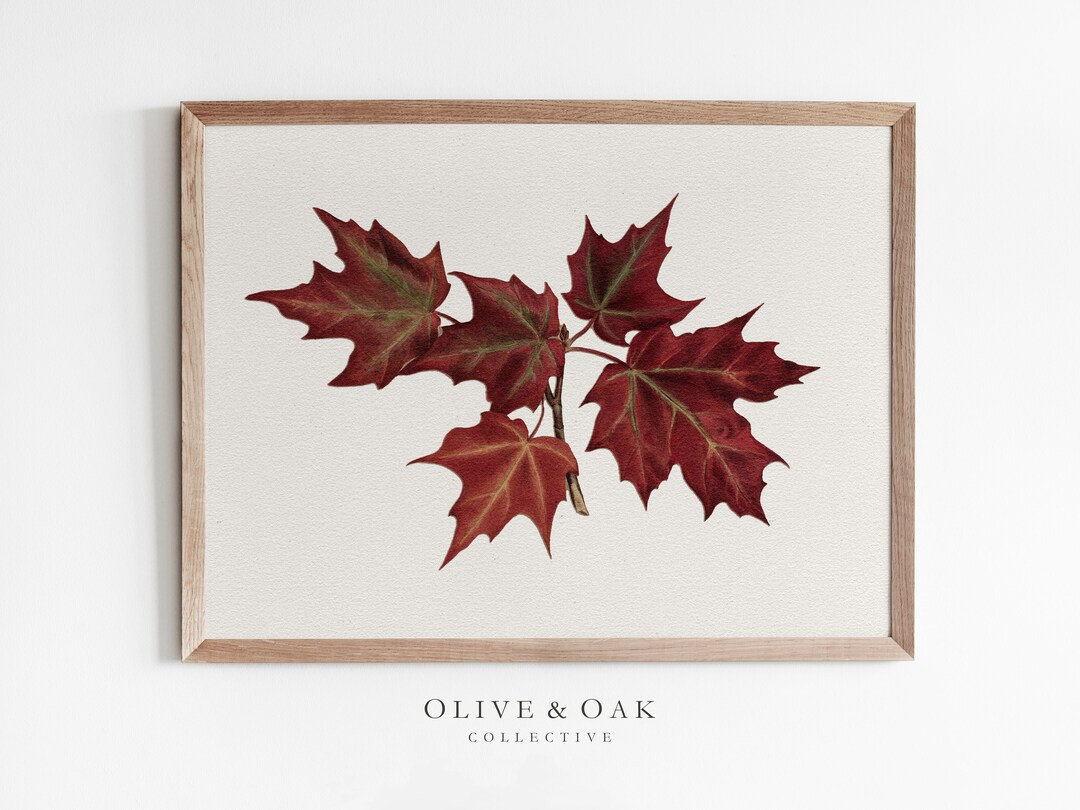 Fall Leaves Art Print / Autumn Wall Art / Artwork for Fall Decor / Branch Drawing / Maple Branch ... | Etsy (US)