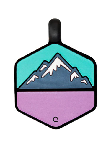 Bloom Mountain Silicone Dog ID Tag | QALO