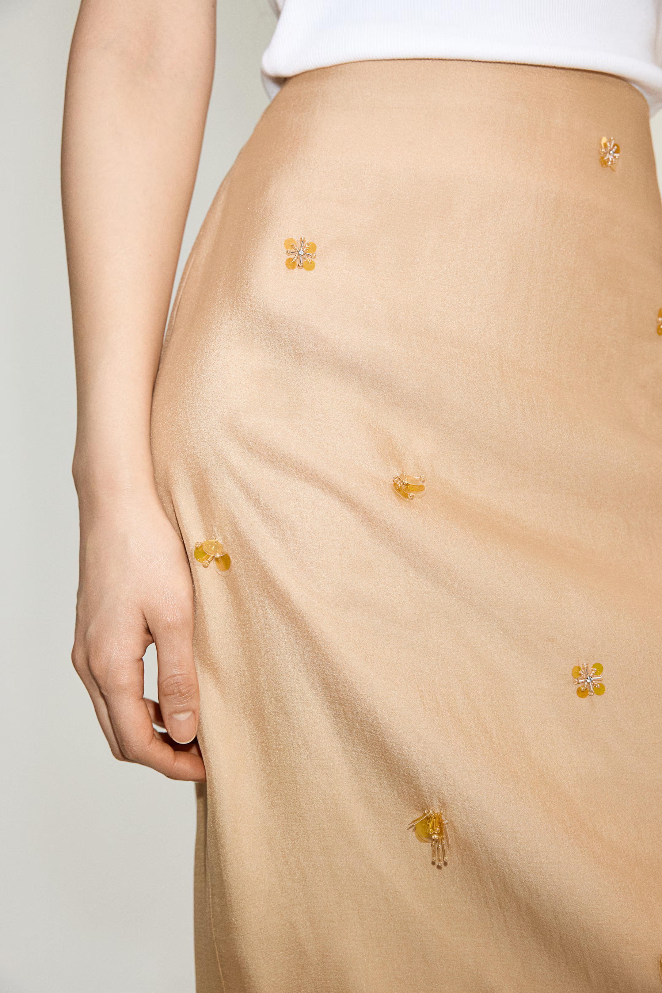 Embellished Sheer Skirt - Beige - Ladies | H&M US | H&M (US + CA)