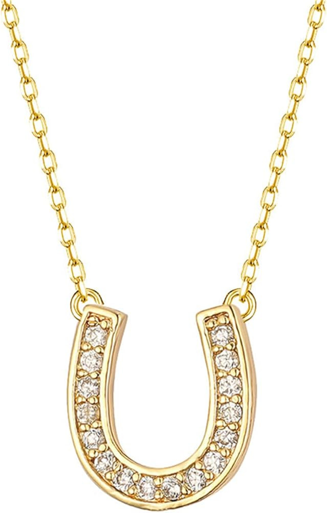 coadipress Stainless Steel Horse Shoe Style U Shaped Necklace Collar Statement Necklace Horse Gif... | Amazon (US)