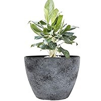 Large Planter Pot Indoor Outdoor - 14.2 Inch Tree Planter Flower Pots, Planters Container with Drain | Amazon (US)