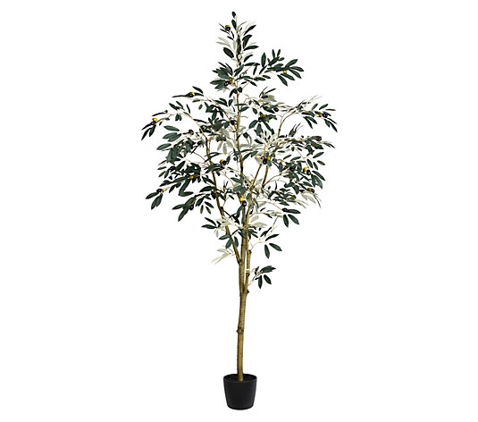 Vickerman 6' Artificial Potted Olive Tree - QVC.com | QVC