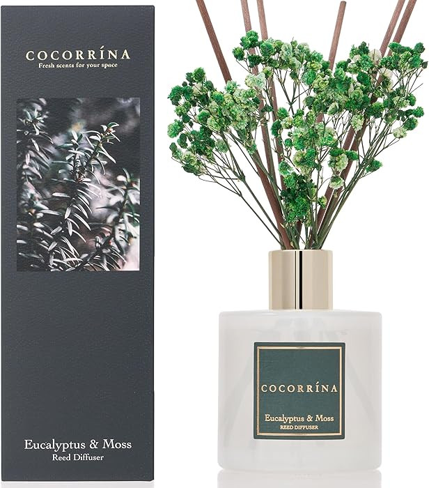 Cocorrína Reed Diffuser Sets- Eucalyptus & Moss Scented Diffuser with Sticks Home Fragrance Reed... | Amazon (US)
