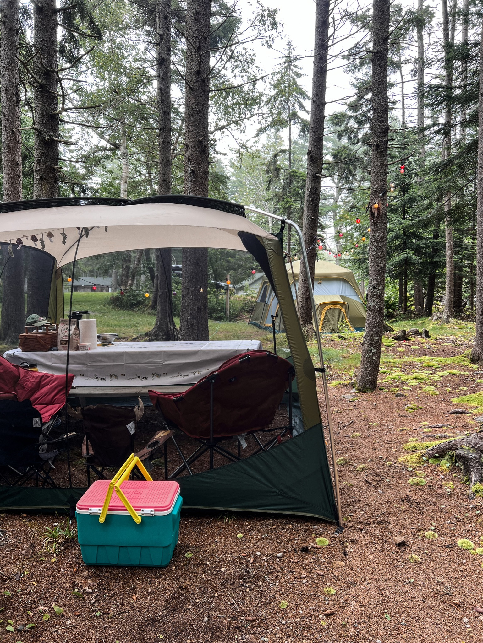 So happy to have the living room tent this year 🏕️

#LTKSeasonal