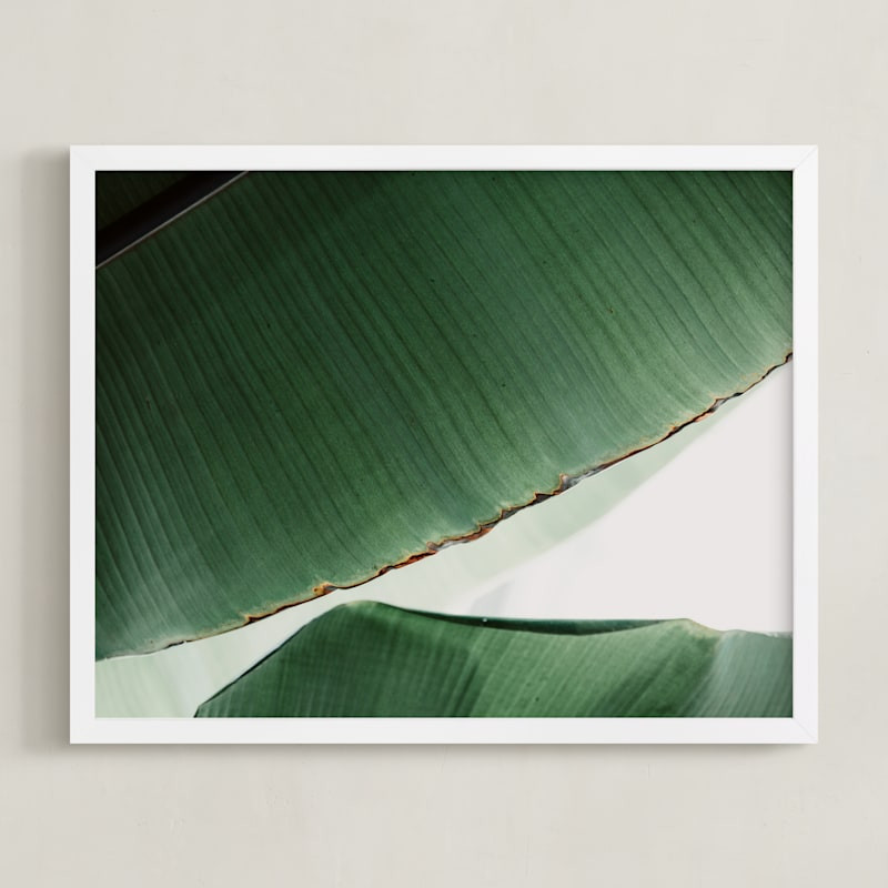 Leaf & Light 1 | Minted