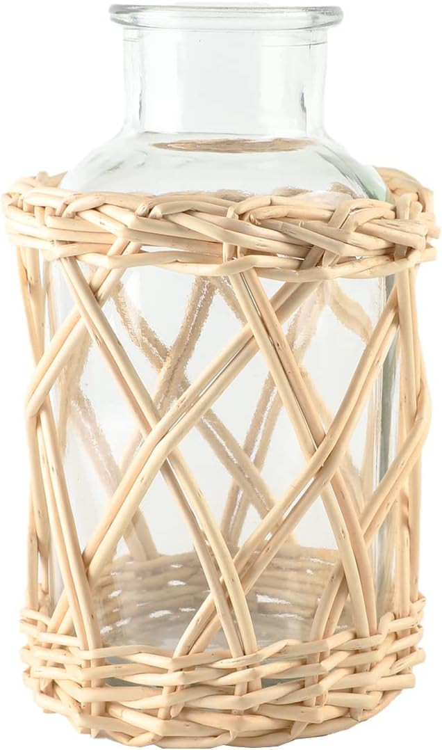 Flower Vases with Wicker Cover Woven Glass Vase Decorative Flower Bottle for Dining Room/Bedroom/... | Amazon (US)
