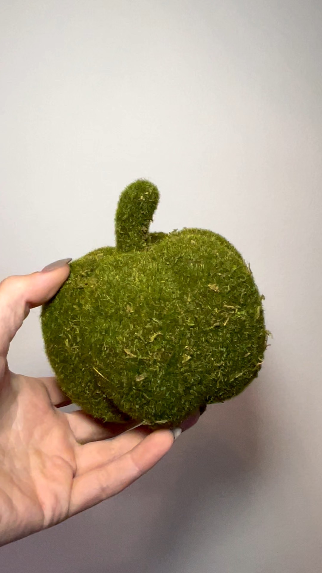 We will be sharing exclusive holiday files only to our LTK followers this season! So Star with your friends! 

#LTKSeasonal #LTKHalloween #LTKHome