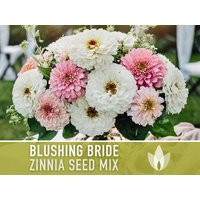 Zinnia, Blushing Bride Flower Seed Mix - Heirloom Seeds, Polar Bear, Lemon Luminosa, Zinnia Mix, Wedding Flowers, Non-Gmo | Etsy (US)