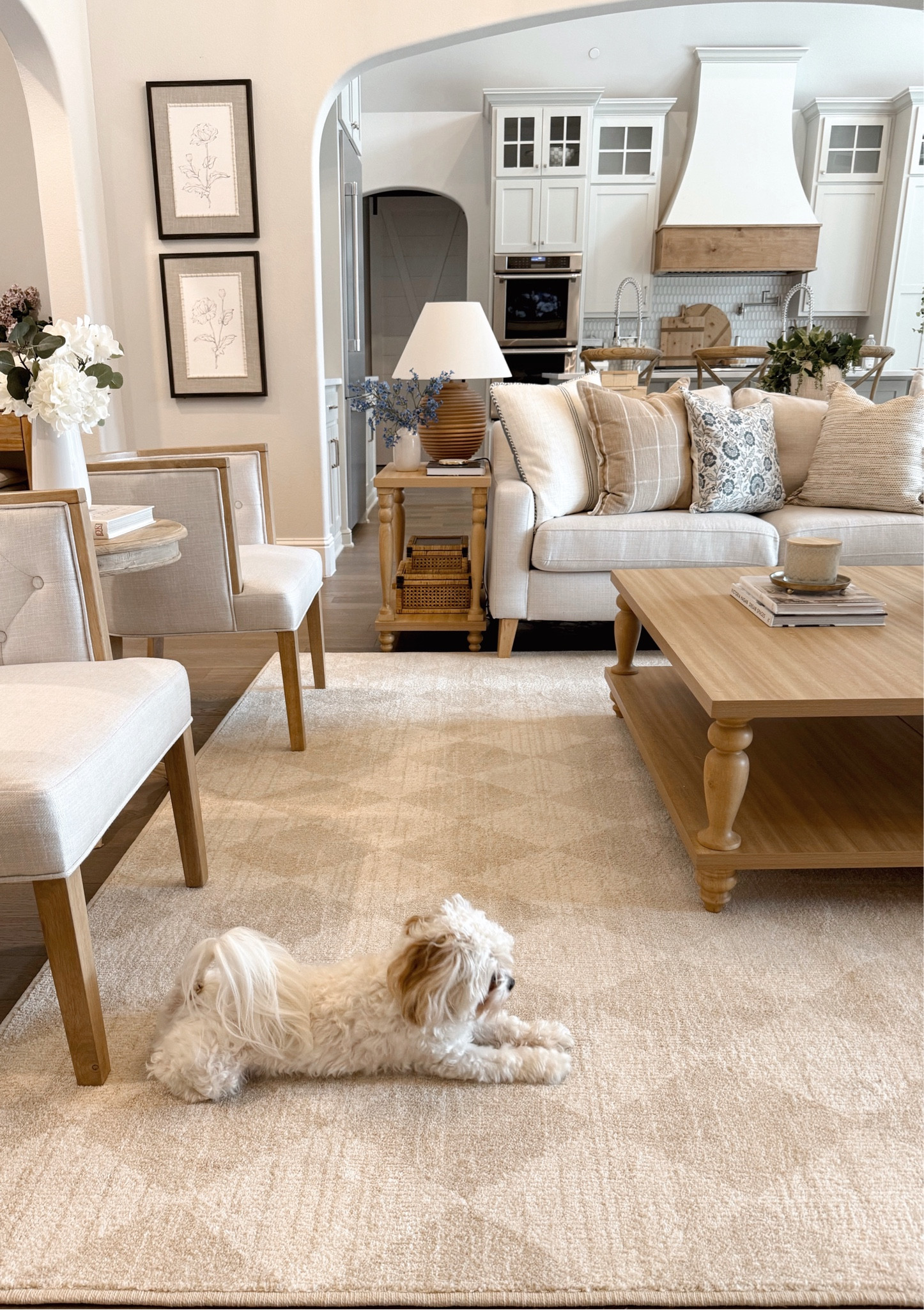 My Texas House new rugs and pillows are now live on Walmart.com 

#LTKSpringSale #LTKhome #LTKfamily