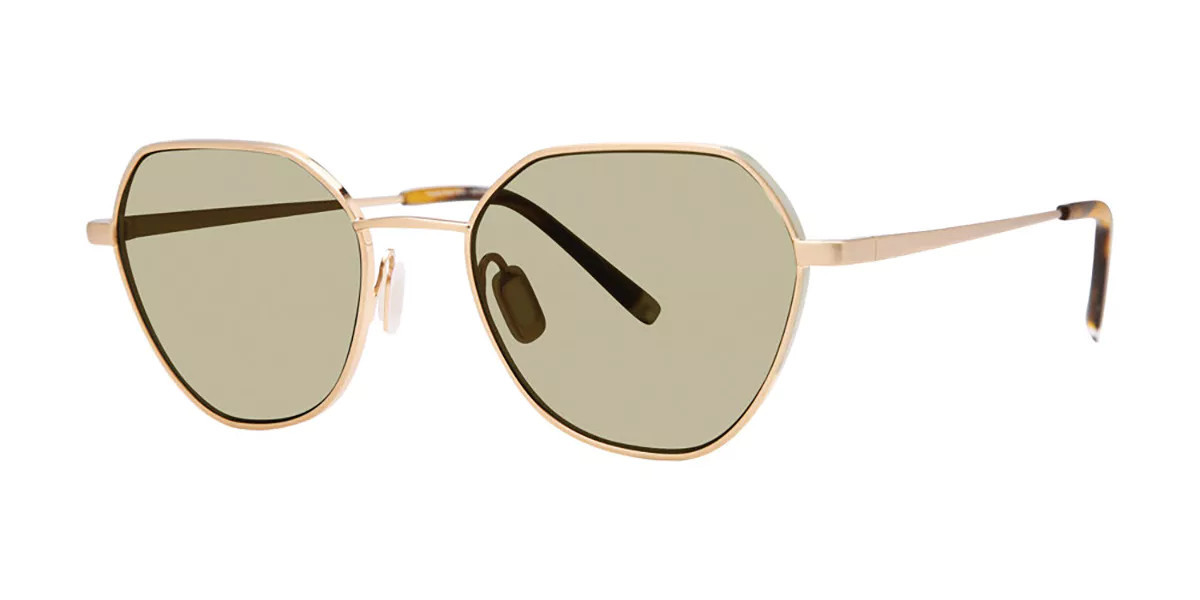 Paradigm Remy Sun Gold Óculos de Sol Masculino Dourados | SmartBuyGlasses Global