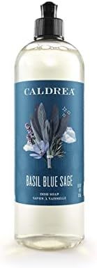 Caldrea Dish Soap, Biodegradable Dishwashing Liquid made with Soap Bark and Aloe Vera, Basil Blue... | Amazon (US)