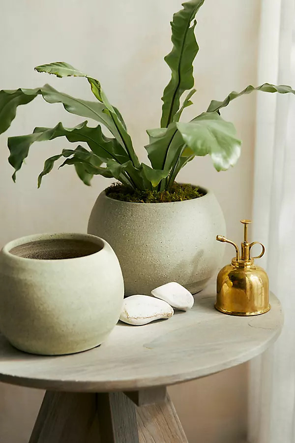 Ceramic Sphere Pot | Anthropologie (US)
