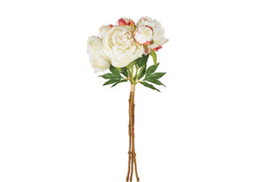 PEONIES | Alice Lane Home Collection