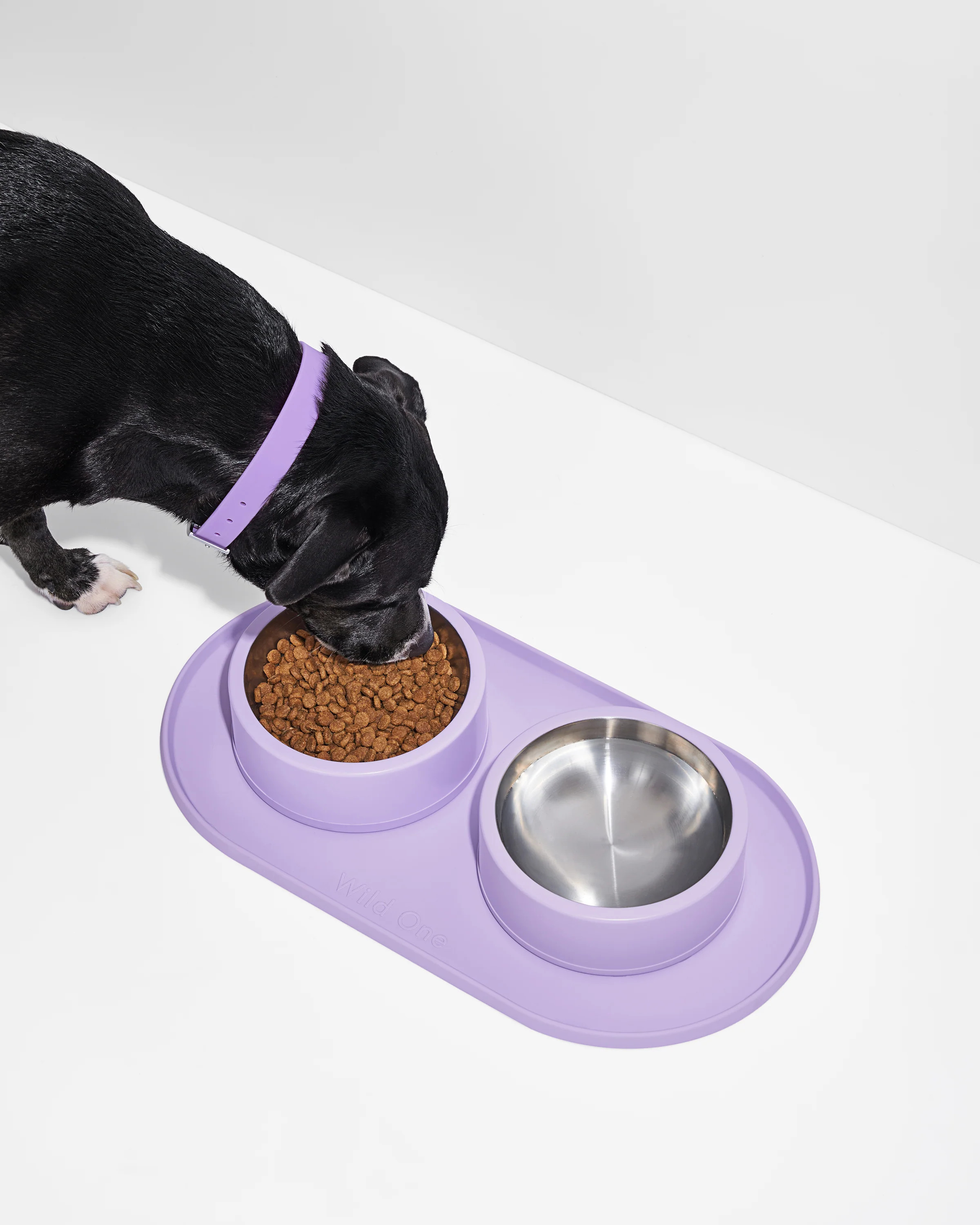 Stainless Steel Dog Bowl & Silicone Mat Set | Wild One | Wild One