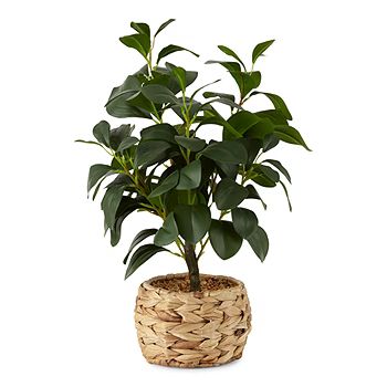 Linden Street 21" Water Hyacinth Artificial Plant | JCPenney