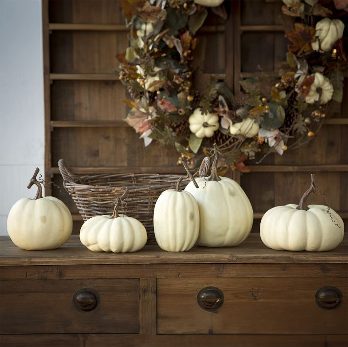 Full Moon Pumpkins (Set of 5) | West Elm (US)
