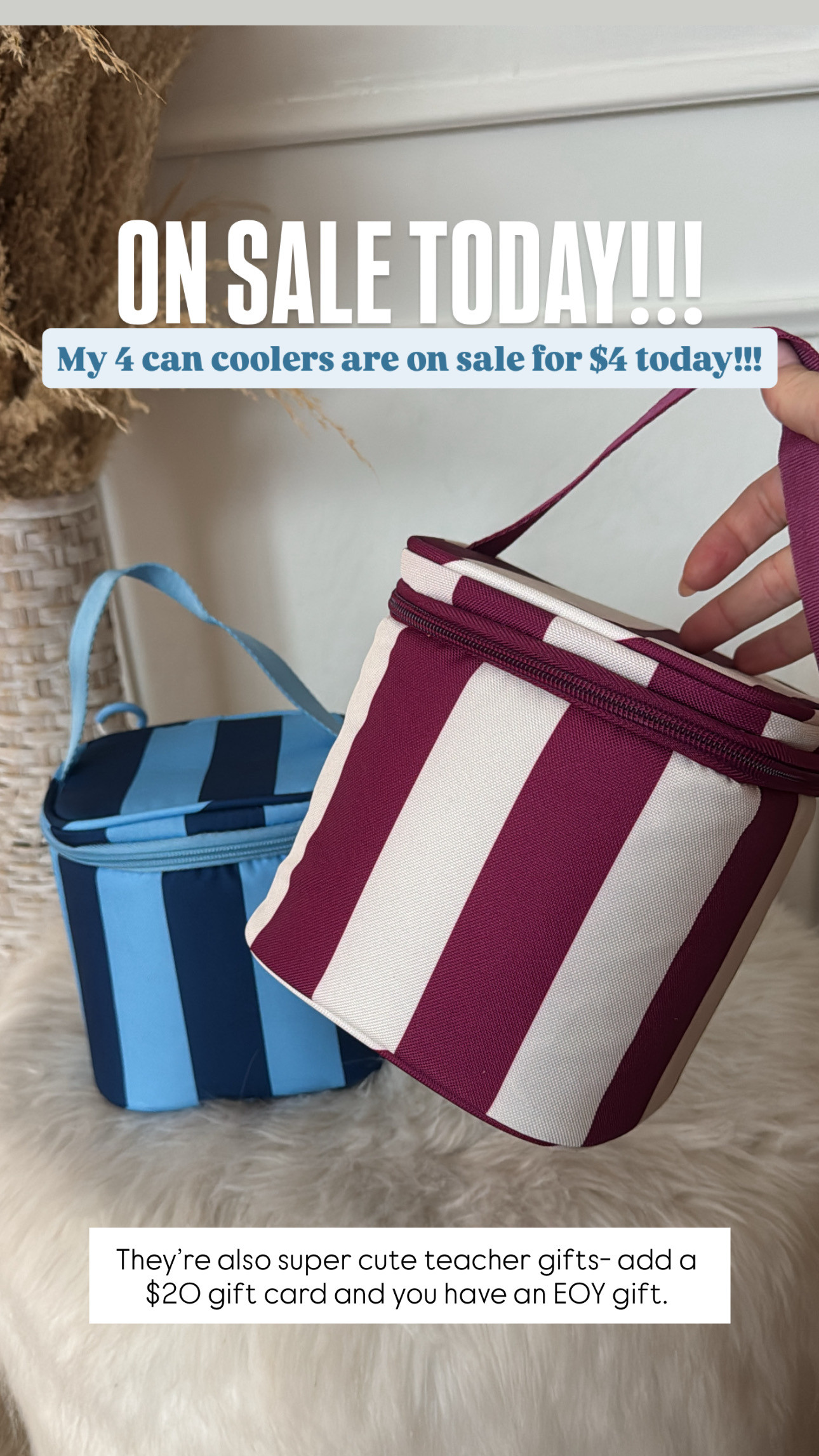 LOVE these 4 can coolers from @target  - they're on sale today for $4!!! They make for the perfect teacher gift too. My husband brings snacks and a drink in them for golf and pickleball. #ad  

 #LTKmomlife #LTKHome #LTKSaleAlert