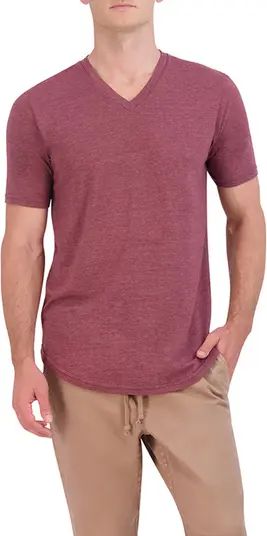 Triblend Scallop V-Neck T-Shirt | Nordstrom
