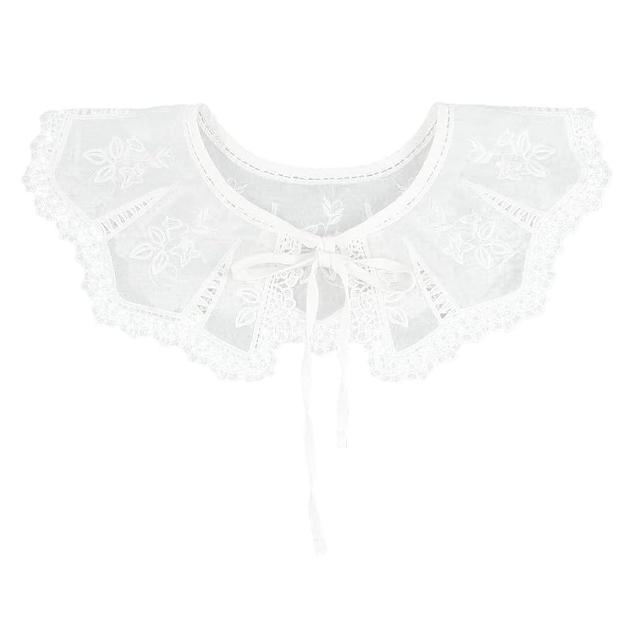 AHANDMAKER White Embroidered Lace Neckline Trim, Detachable Collar for Women, Polyester False Col... | Amazon (US)