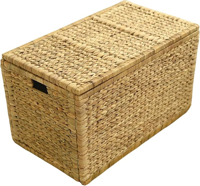 30" Wicker Storage Trunk,Handwoven Trunk Organizer, Metal Hinges at Lid and Frame,Wicker Toy Ches... | Amazon (US)