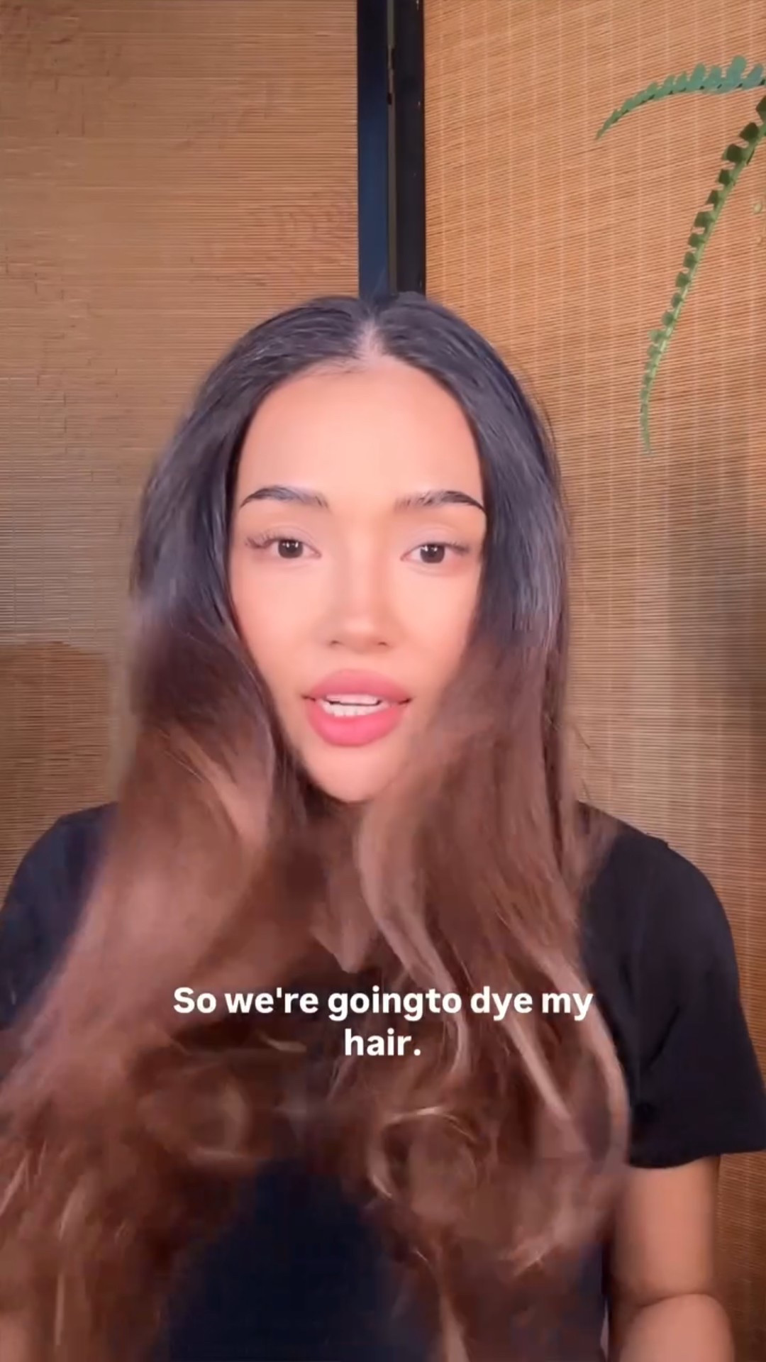 Dying my hair black - back to natural!! 
Used shade 3N + Vol 20 

#backtoblack #dyemyhairblack #blackhair #diyblackhair 

#LTKBeauty #LTKCyberWeek #LTKFindsUnder50