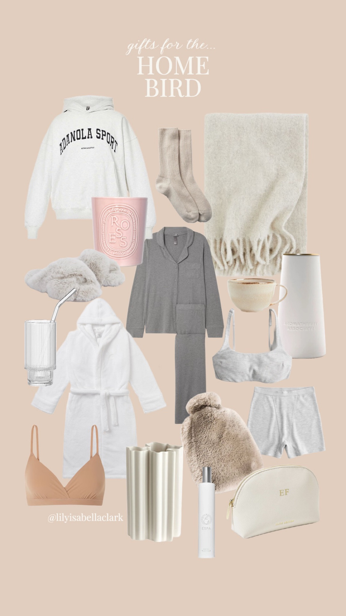 CHRISTMAS 2022 GIFT GUIDES 🫶🏼 gifts for the home bird 🤍