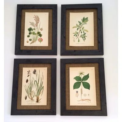 Vintage Botanical 4 Piece Framed Painting Print Set | Wayfair North America