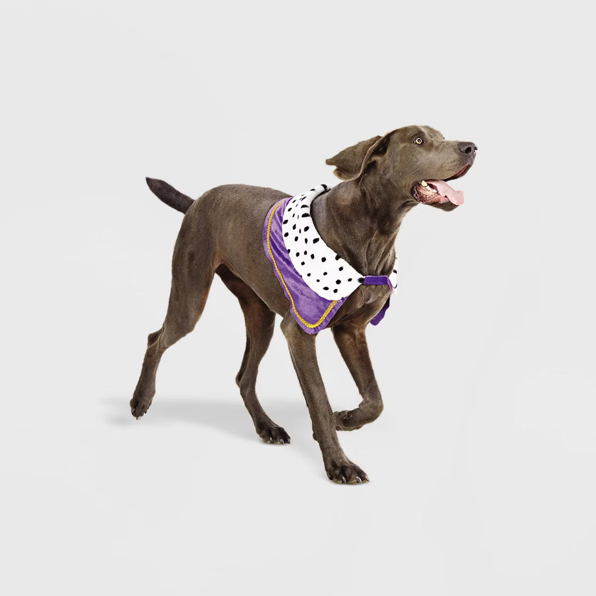Halloween Royalty Dog Cape - Hyde & EEK! Boutique™ | Target