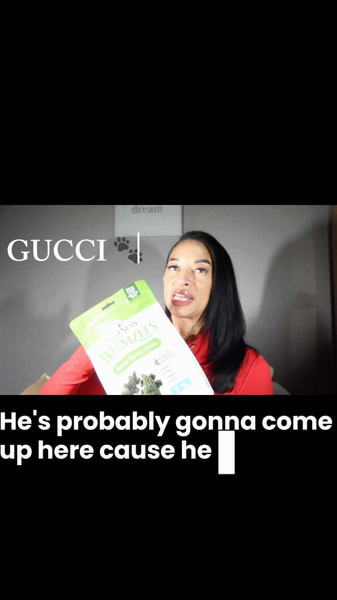 What are your pet's favorite treats? Gucci has loved these since he was a puppy. He's so picky about what he puts in his body. " #GucciDowntothesocksAngelo
#guccidowntothesocks
#ltkdogs #ltkdogmom

#LTKselfcare