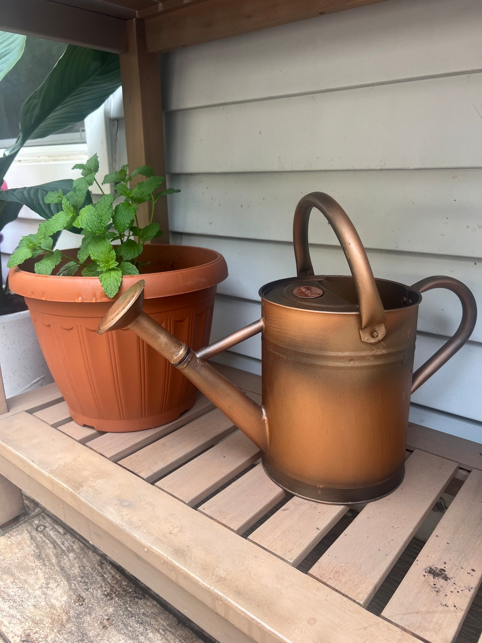 Gorgeous watering can 

#LTKSeasonal #LTKHome #LTKSummerEdit
