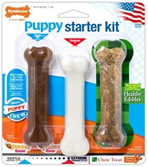 Nylabone Puppy Starter Kit Dog Chew Toys & Treat Chicken & Bacon Flavor Small/Regular - Up to 25 ... | Amazon (US)