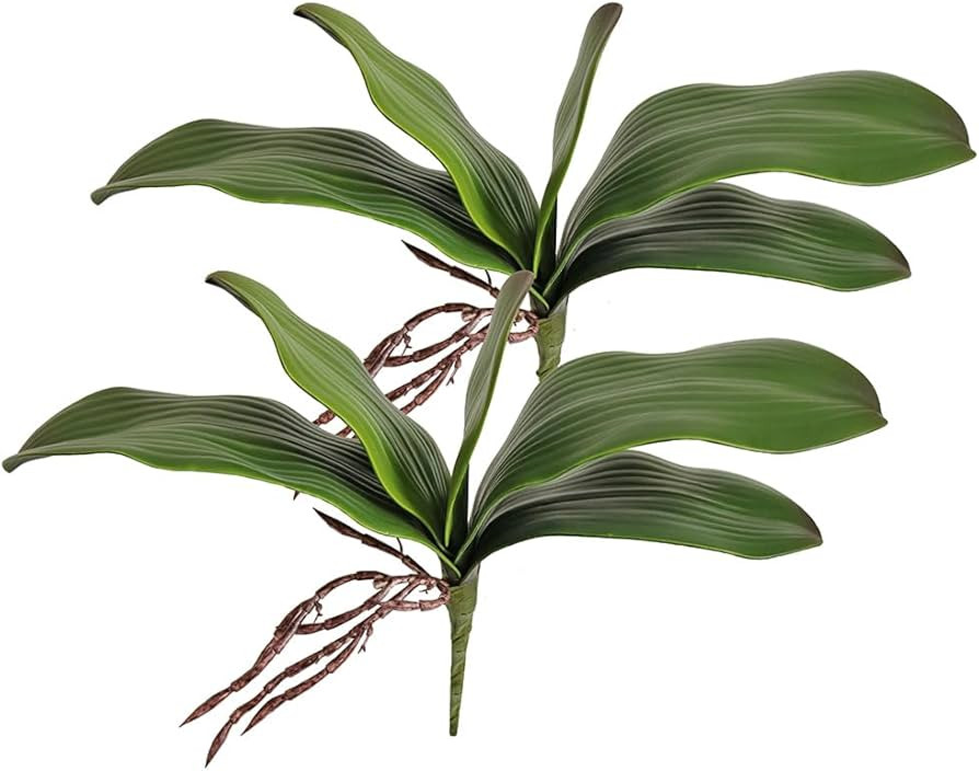 Htmeing 38 Inch Artificial Phalaenopsis Flowers Branches Real Touch (Not Silk) Orchids Flowers fo... | Amazon (US)