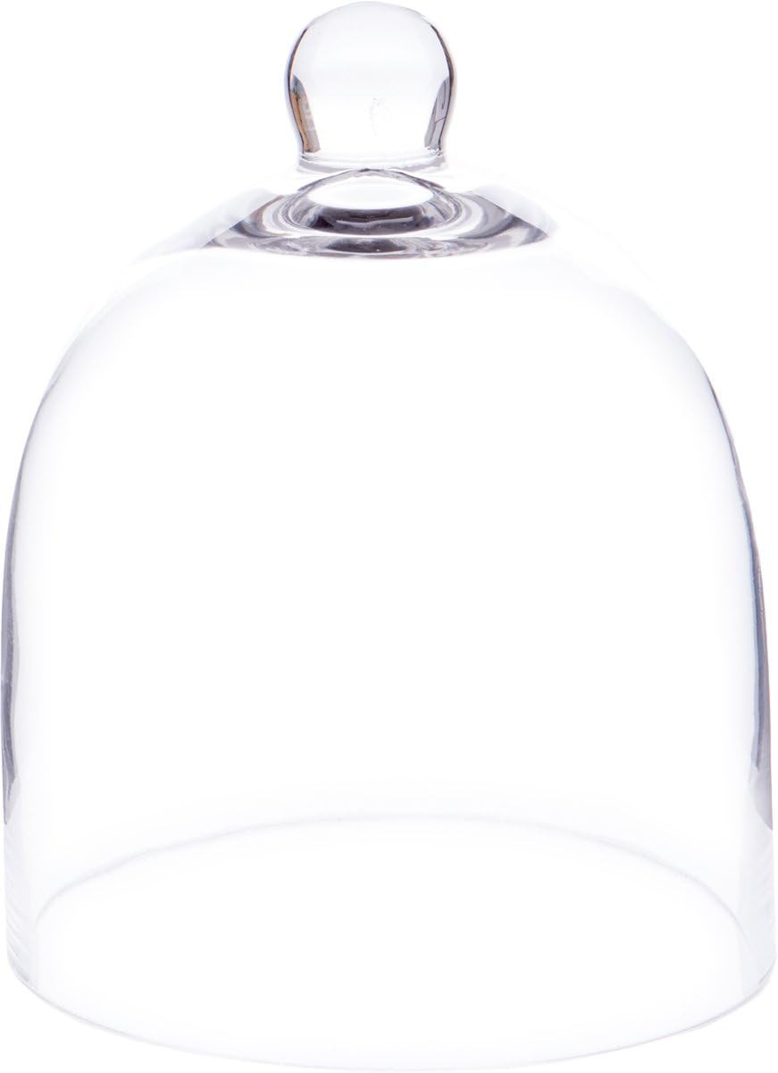 Plymor 6" x 7" Bell Jar Glass Display Dome Cloche (Small - Interior Size 5.75 inch x 5.75 inch) | Amazon (US)