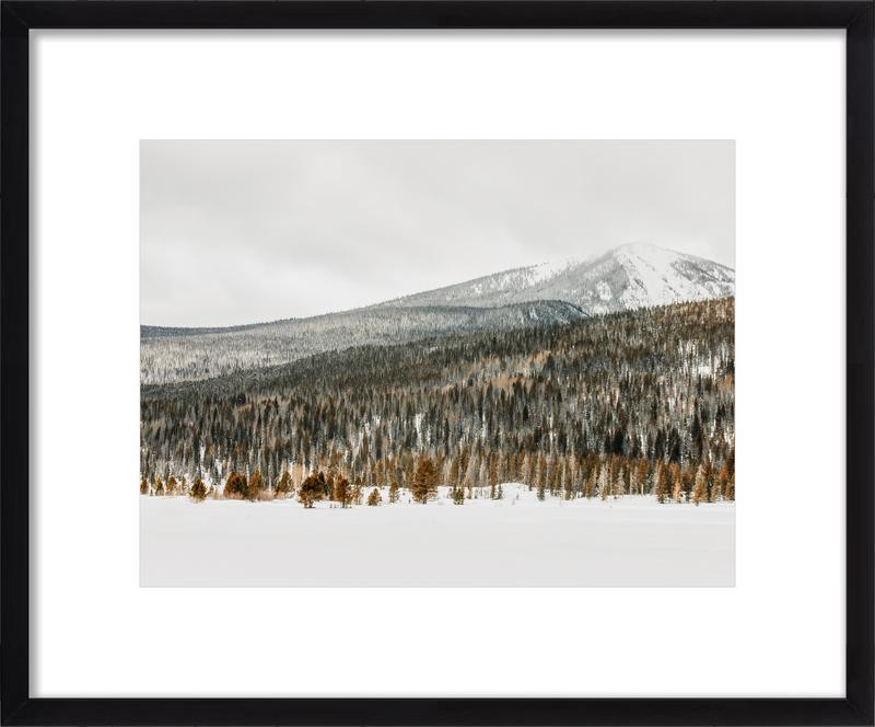 gilded crown (2) | Artfully Walls