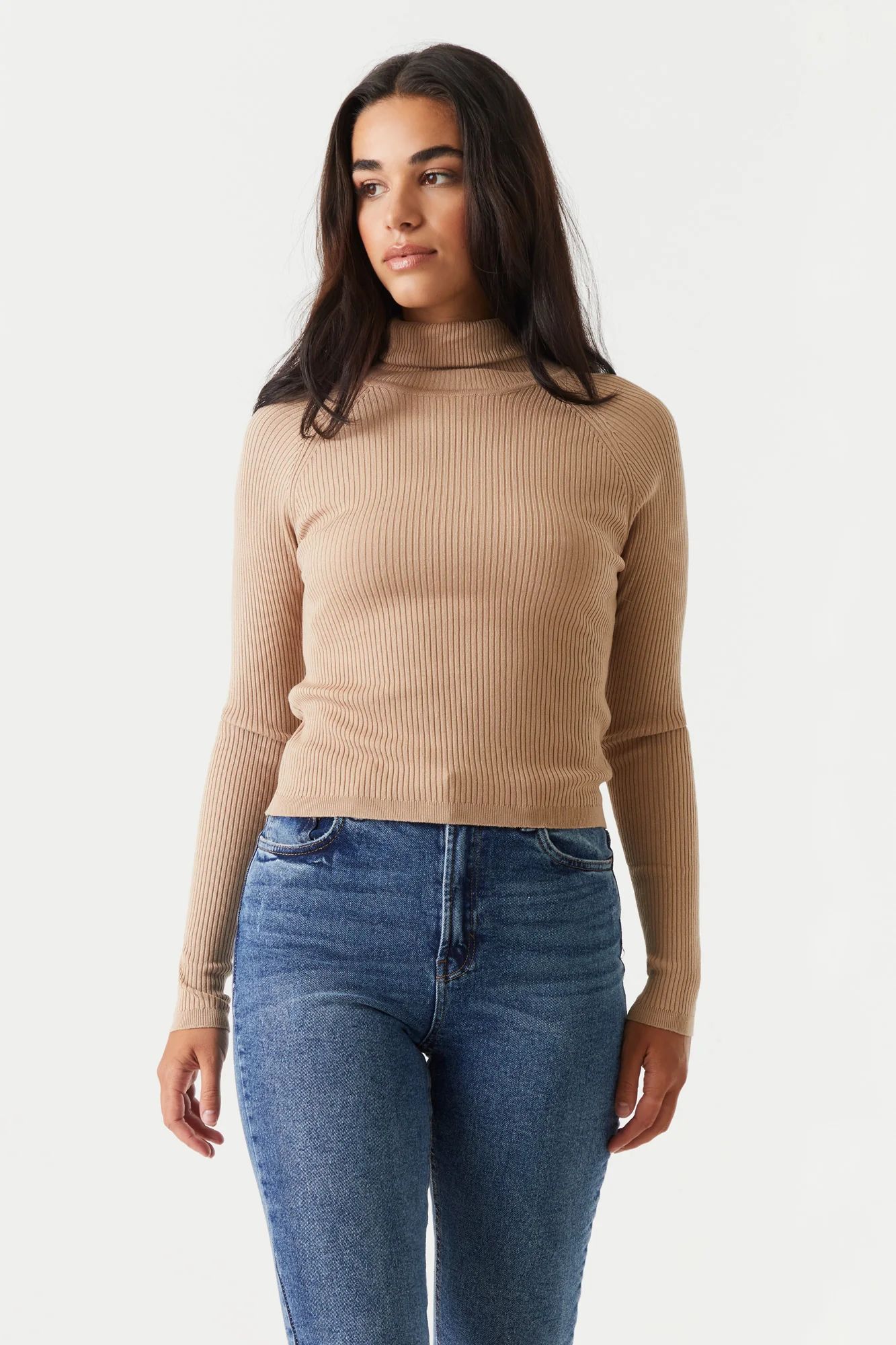 Ribbed Long Sleeve Turtleneck | Urban Planet