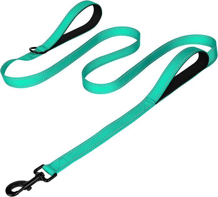 Joytale Dog Leash Heavy Duty for Large Dogs that Pull, Double Handle for Traffic Control, Double-... | Amazon (US)