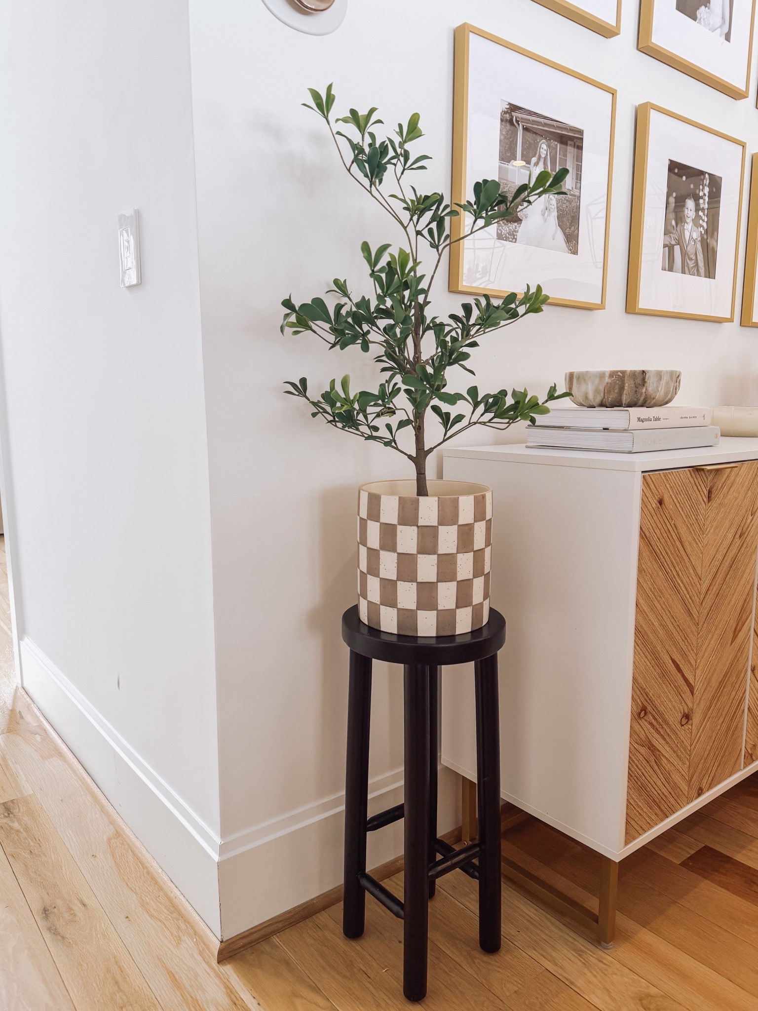 Mini olive tree, olive plant, checkered planter, neutral decor 
