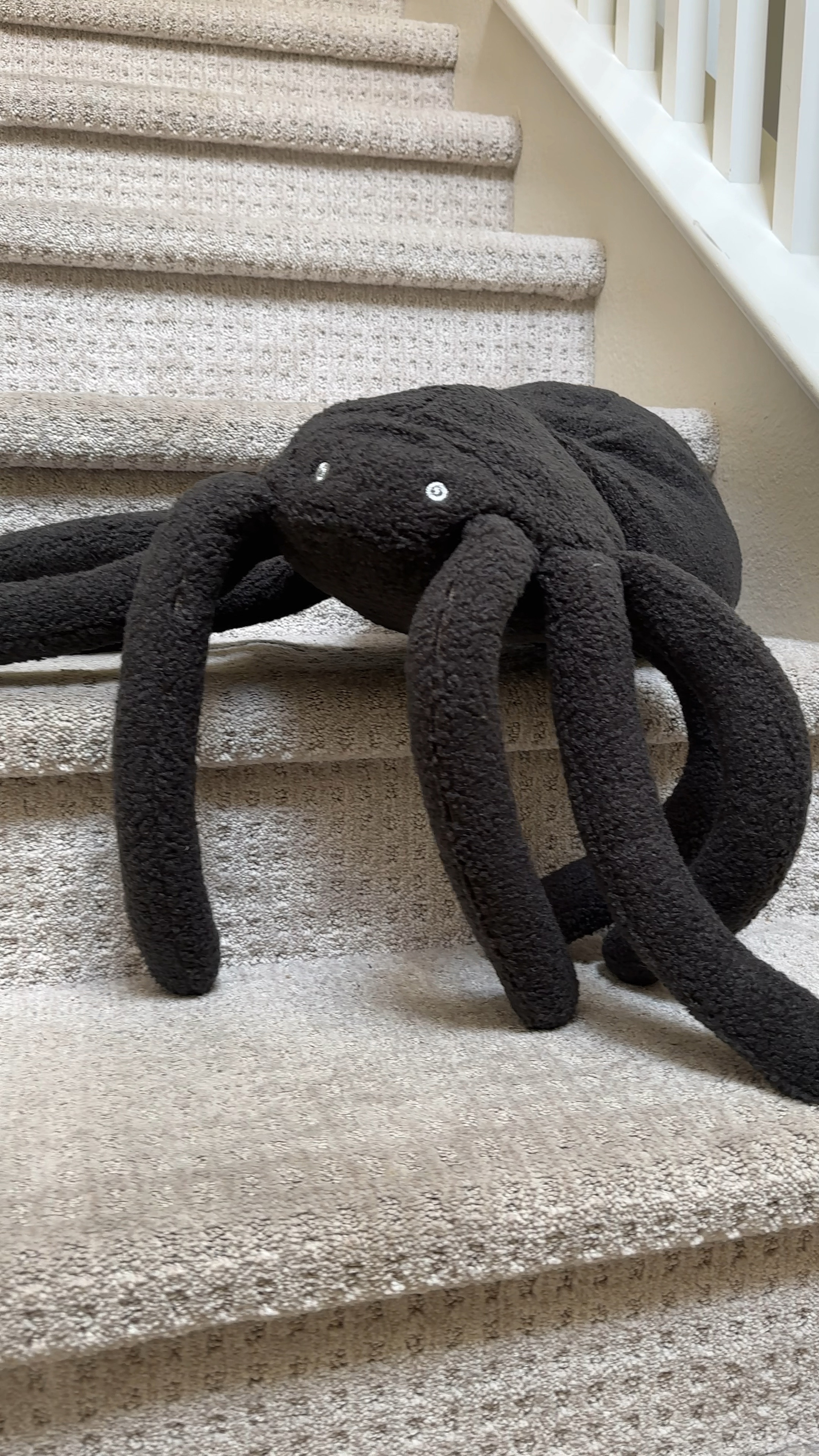 Halloween decor

Large spider pillow. Kids will love this plush spider pillow!

#LTKHome #LTKSeasonal #LTKKids
