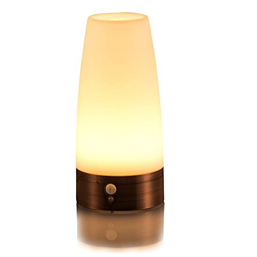 ZEEFO Retro LED Night Light Wireless PIR Motion Sensor Light,Activated Step lighting Lamps,Indoor/Ou | Amazon (US)