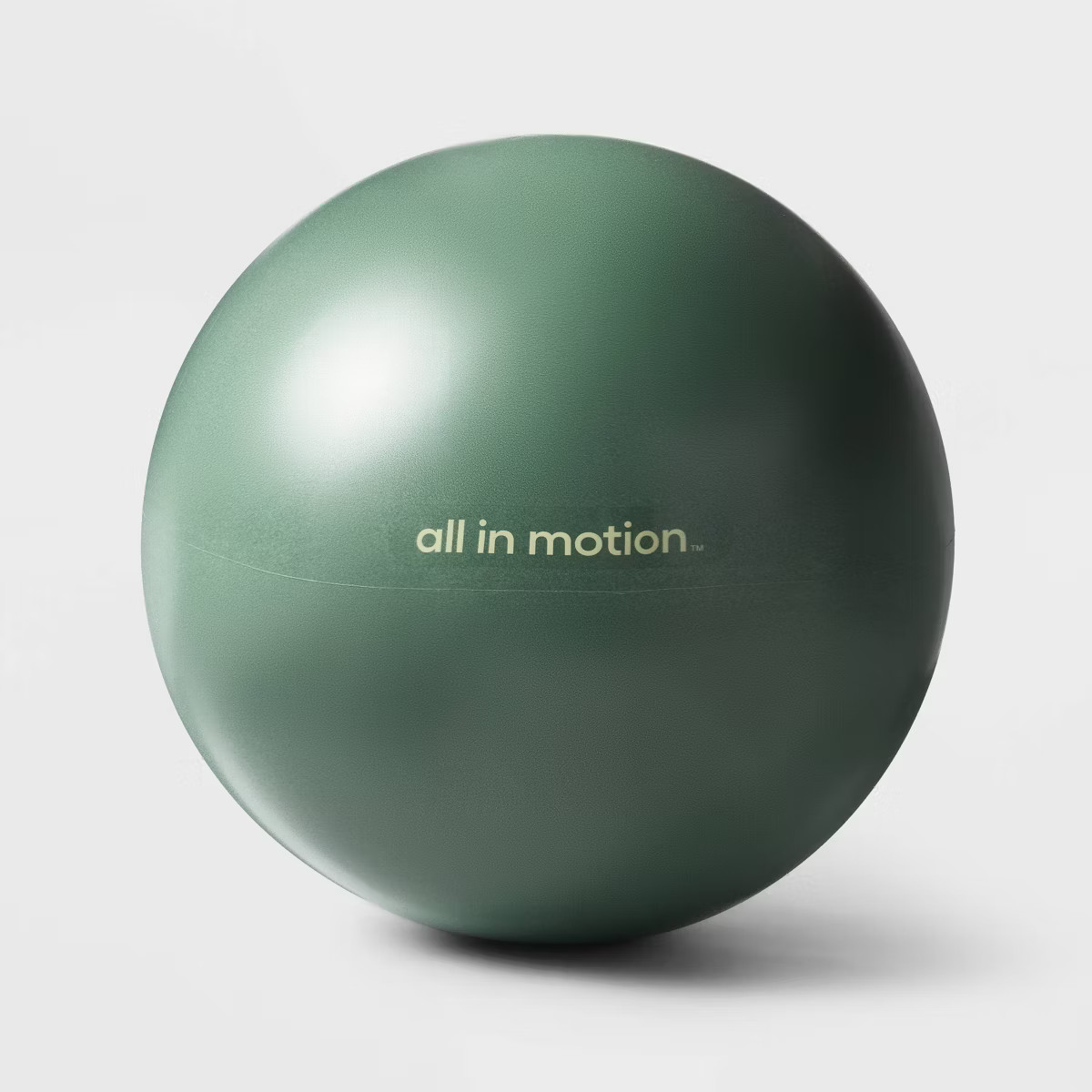 Stability Exercise Ball - All In Motion™ | Target
