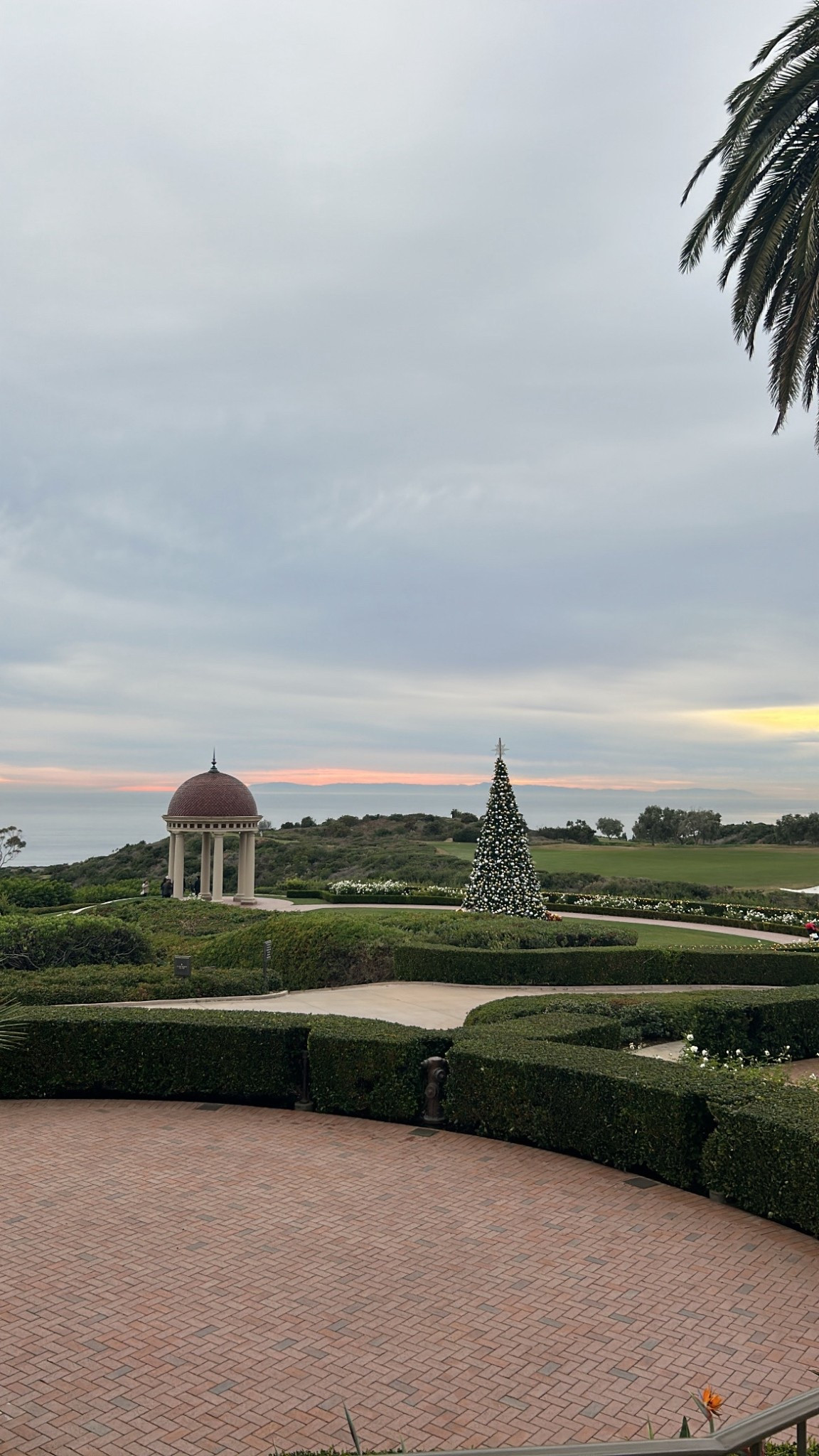 Holiday Views at Pelican Hill

Visiting Pelican Hill during the holidays is such a treat. The resort’s iconic Christmas tree is beautifully decorated and instantly festive. Everywhere you look, the views are stunning, from the perfectly manicured grounds to the sparkling lights that make the resort feel magical. Walking around, taking in the tree and the scenery, is the perfect way to get into the holiday spirit

#pelicanhillresort #holidayviews #christmastree #holidaydecor #luxuryresort #festivemoments #holidaymagic #holidaytravel #resortviews #holidayseason #holidaygetaway #festivevibes

pelican hill | pelican hill resort | christmas tree | holiday decor | luxury resort | holiday travel | festive views | resort christmas | holiday getaway | luxury holiday | holiday magic | scenic resort views

#LTKSeasonal #LTKHoliday #LTKTravel