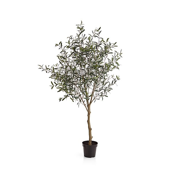 Faux Olive Tree + Reviews | Crate and Barrel | Crate & Barrel