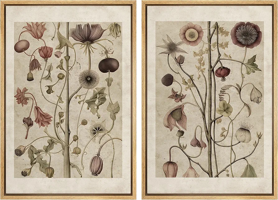 MUDECOR Lienzo enmarcado para pared, flores silvestres, floral, botánica, naturaleza, ilustraci... | Amazon (US)