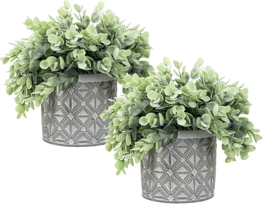 MyGift Artificial Eucalyptus Plant in Modern Gray Concrete Pots with Geometric Embossed Pattern (... | Amazon (US)