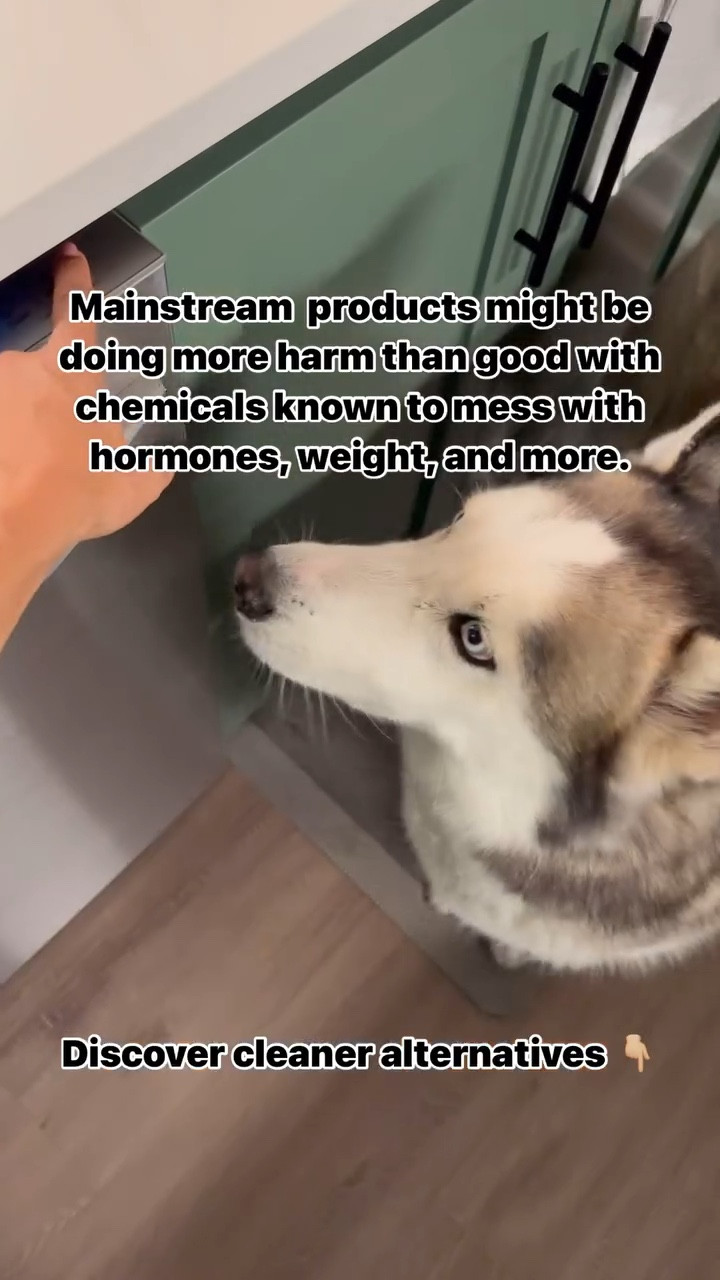 Did you know that mainstream cleaning products could be wrecking havoc on your health? 🚫 Loaded with toxins, these products can disrupt your endocrine system, throw your hormones out of balance, contribute to weight issues, and cause a myriad of other health problems. 

✨ It’s time to switch to natural, non-toxic alternatives to protect your body and wellness. Brands like @trulyfreehome, @branchbasics, @puracy, @youngliving @auntfannies, and @drbronner offer certified non-toxic options for a safer home. Your health starts at home! 🏠



#nontoxicliving #healthyhome #holisticwellness #wellness #nontoxichome #cleanliving #endocrinehealth #health 

References:
1. Environmental Health Perspectives, 2016
2. American Journal of Public Health, 2015
3. Journal of Clinical Endocrinology & Metabolism, 2017
4. The Lancet, 2014

#LTKFamily #LTKHome