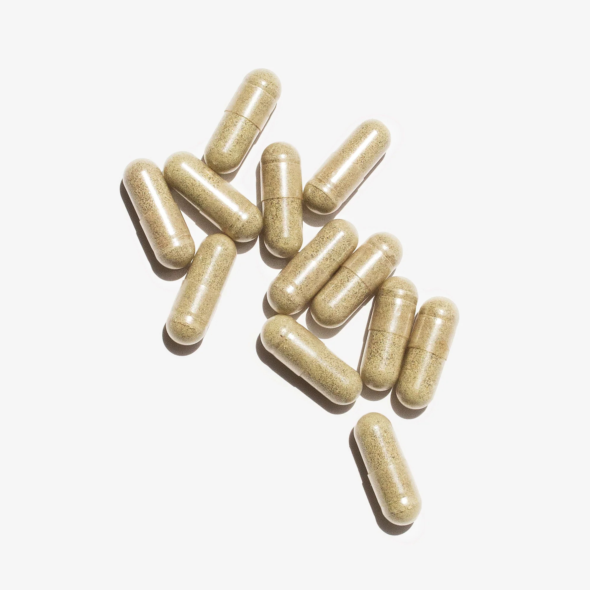 Complete Probiotic Formula | Sakara Life